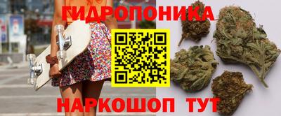 прущие крисы Нальчик