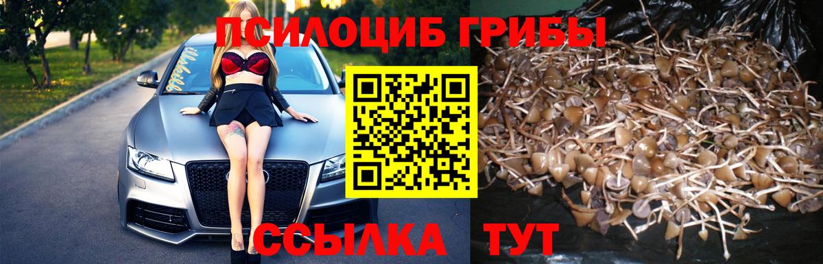 Сургут  Псилоцибиновые грибы мицелий  Вход с VPN 